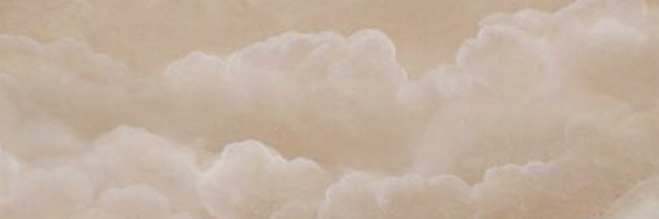 TROPIC_'s profile banner image