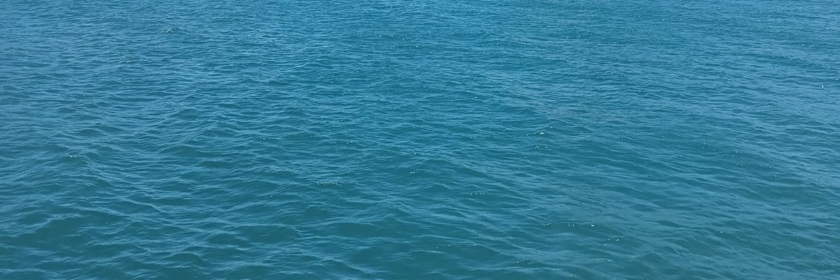 rantyoktarianda's profile banner image