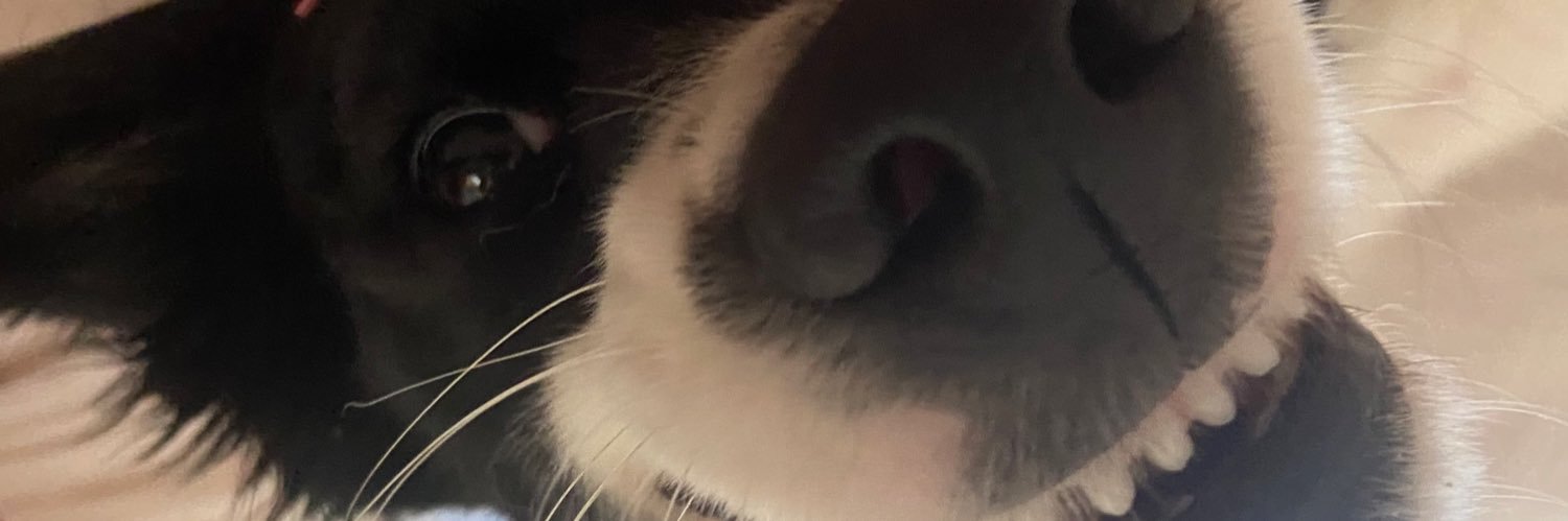 iiimgaby's profile banner image