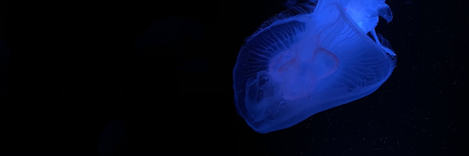 Meso_Potamia__'s profile banner image