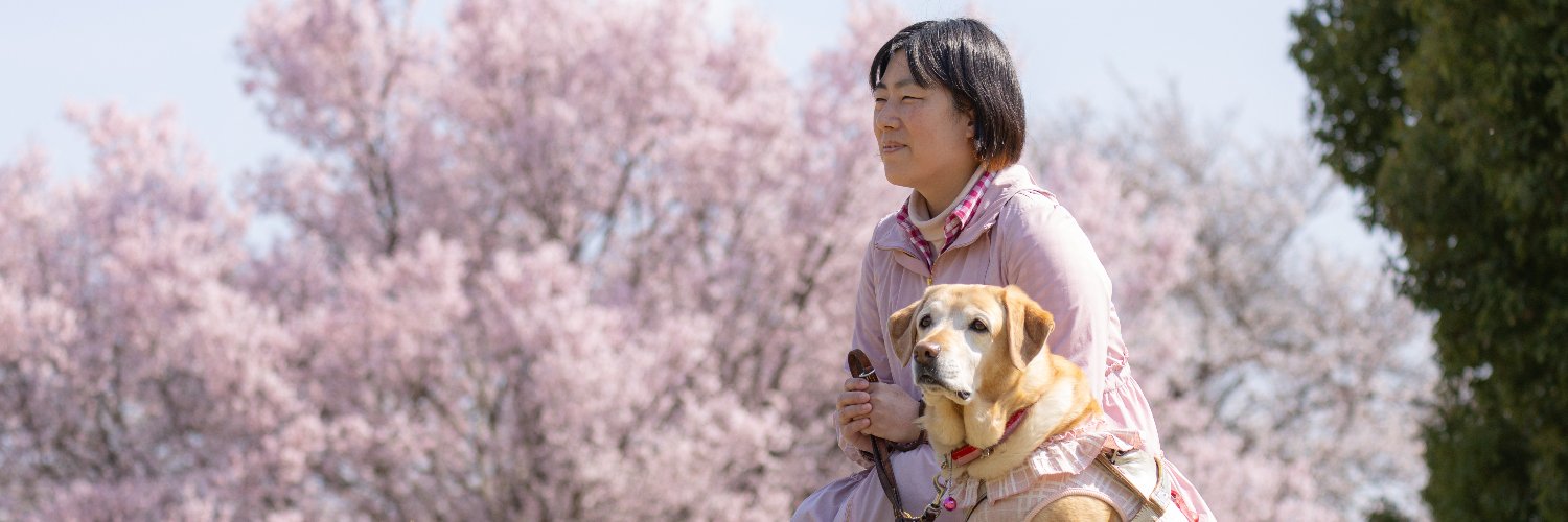 yuyafjmt's profile banner image