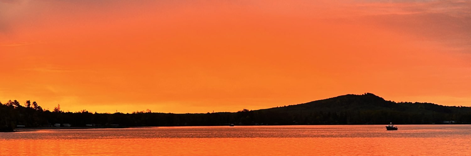 lisa_berndt's profile banner image