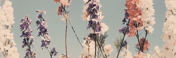 backriverbabe's profile banner image