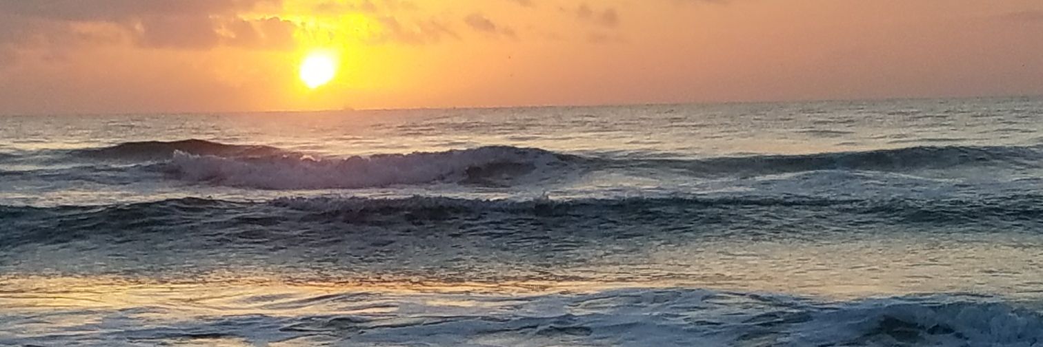 robinbbauder's profile banner image