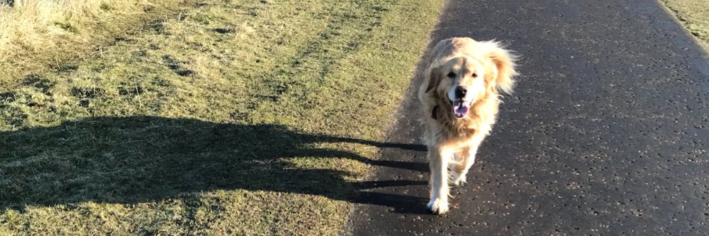Sheena Lusby banner