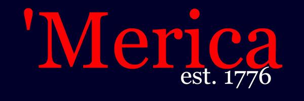 US Foreign Service banner