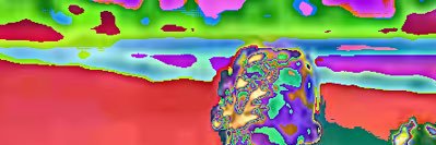 BAKED TOFU NATIONALIST banner