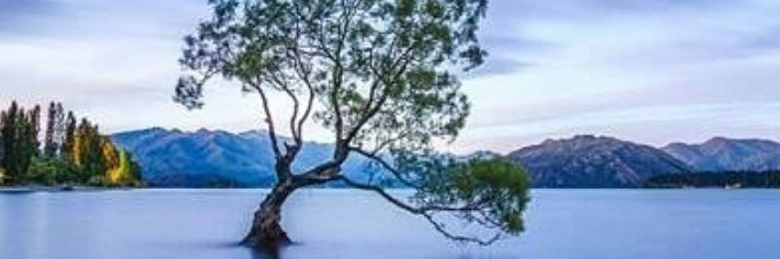 LudiwineH's profile banner image