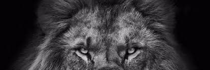 Munuvarr's profile banner image