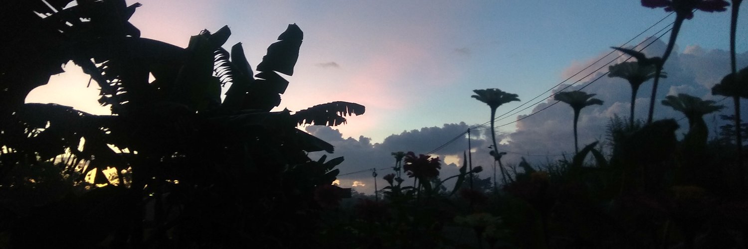 NZsidik's profile banner image