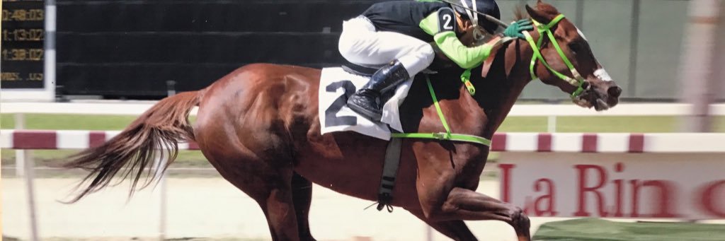 SanrosStud's profile banner image