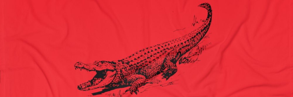 Leo_XO's profile banner image