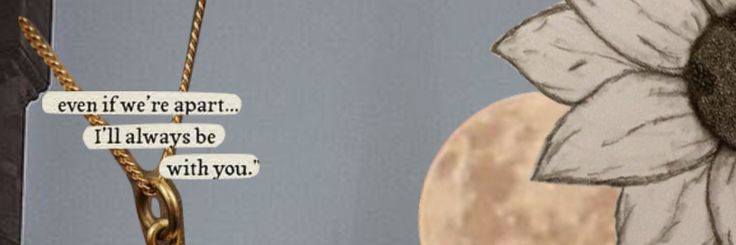 cici banner
