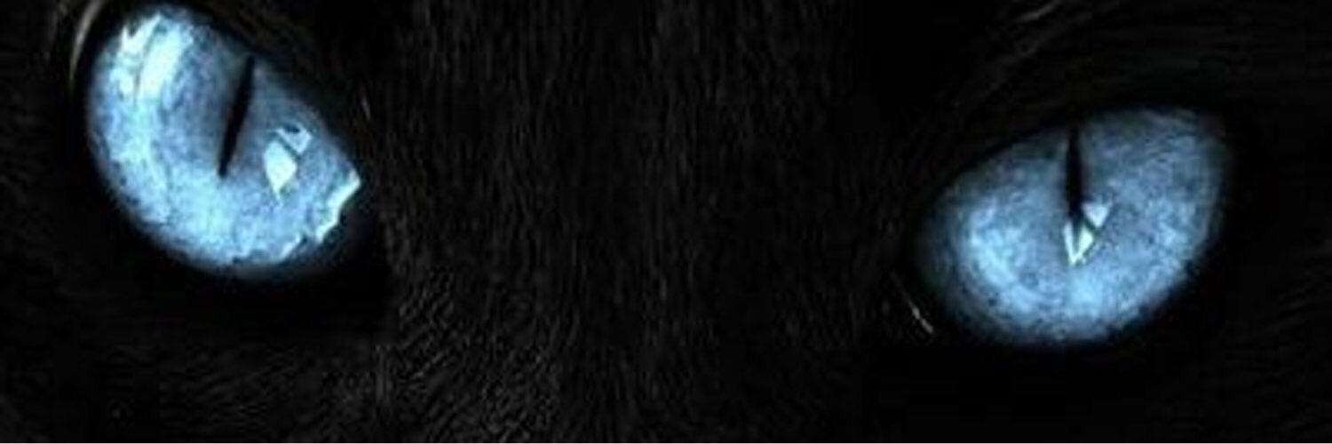201sul's profile banner image