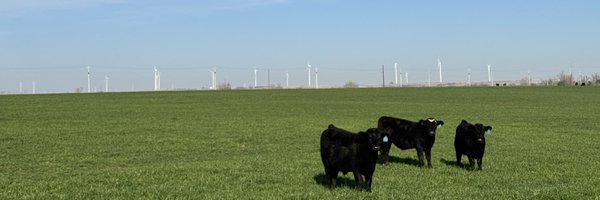 leadfarminokie Profile Banner