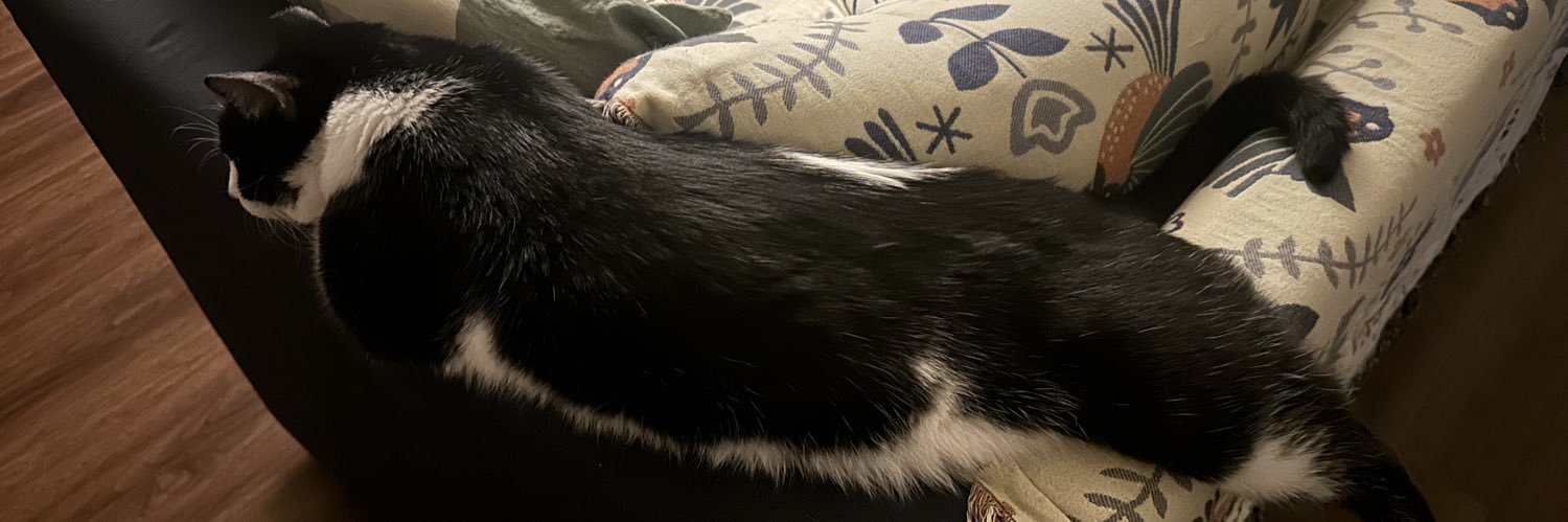 scoubidou banner