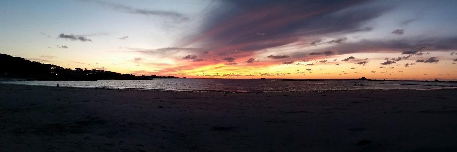 magnus nelson banner