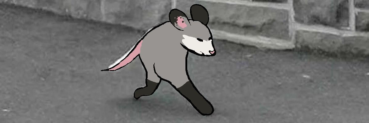 opossum • 🇺🇦🇵🇸 banner