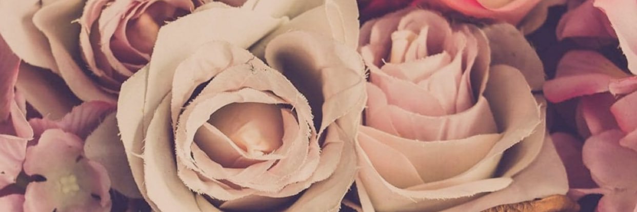 __DecembersOwn's profile banner image