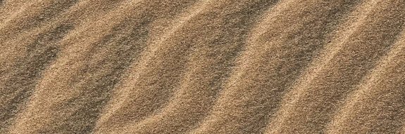 محمد علي banner