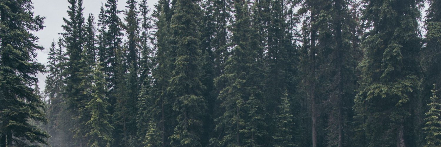 Shatiger's profile banner image