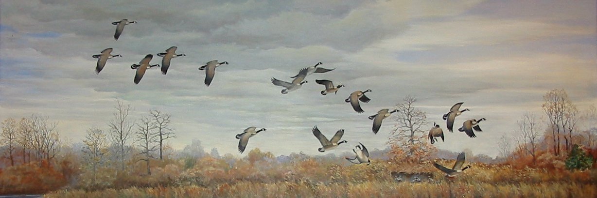 USFWS History banner