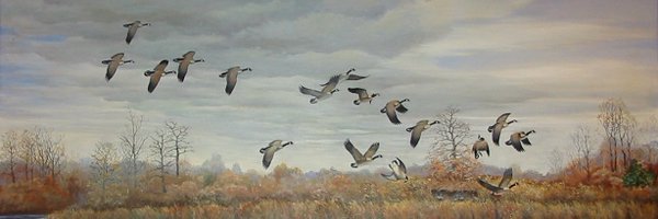 USFWSHistory Profile Banner