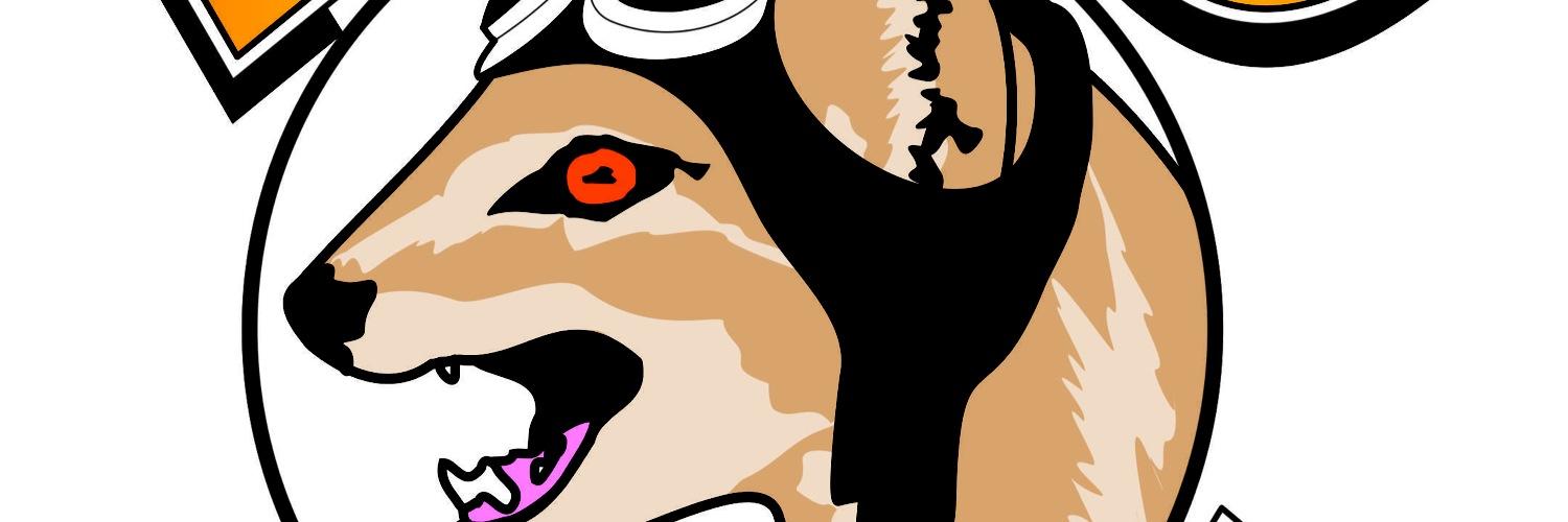 fly_mongoose's profile banner image