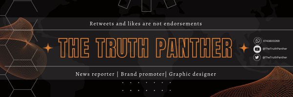 THE TRUTH PANTHER Profile Banner