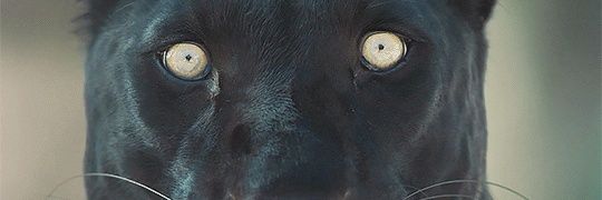 2BintheLight's profile banner image