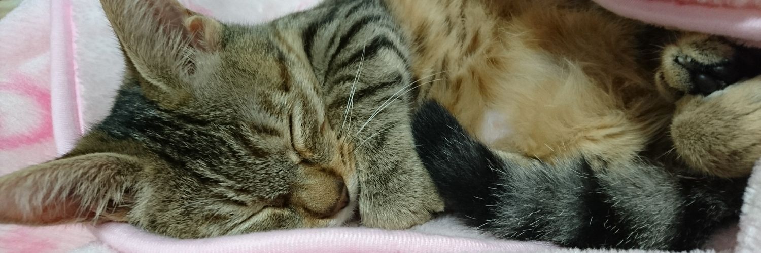 nyan00ma's profile banner image