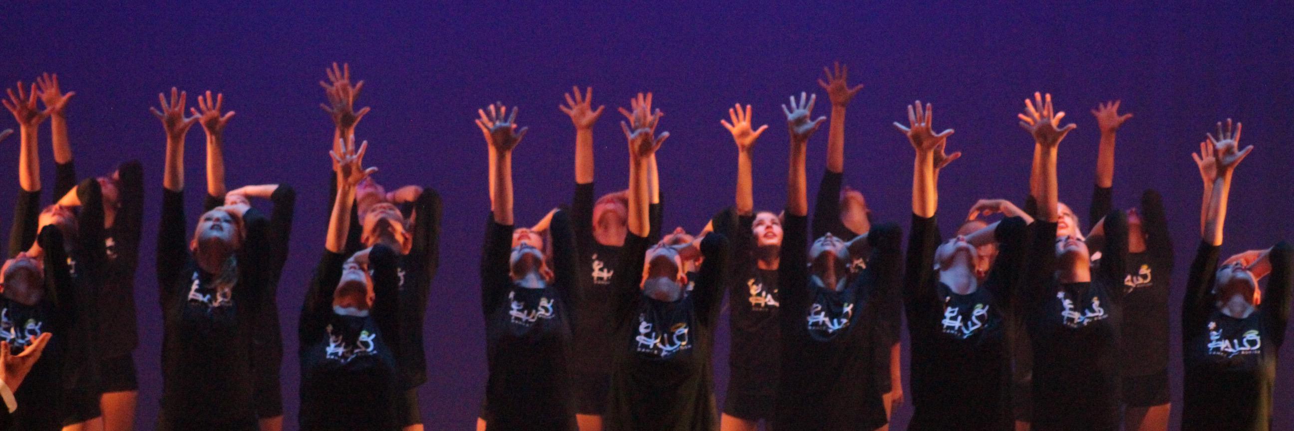 halodanceautism's profile banner image