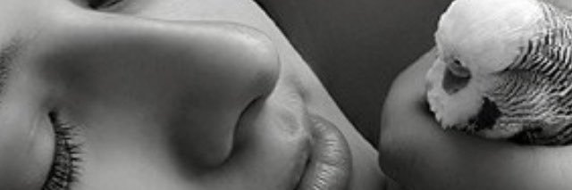 shalomyou74's profile banner image