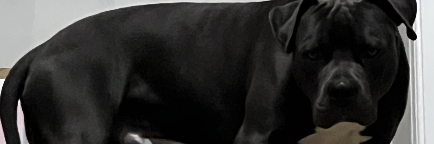 supervising101's profile banner image