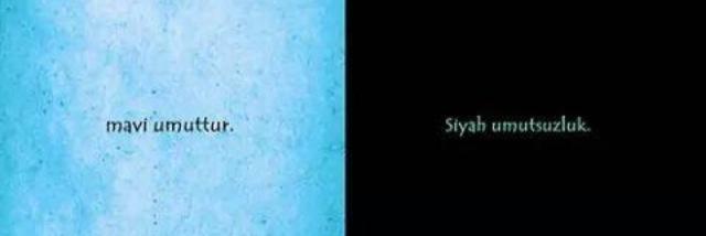 PozeDoga's profile banner image