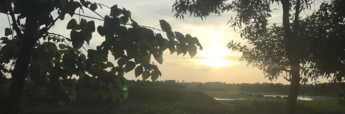 aslimaxo's profile banner image