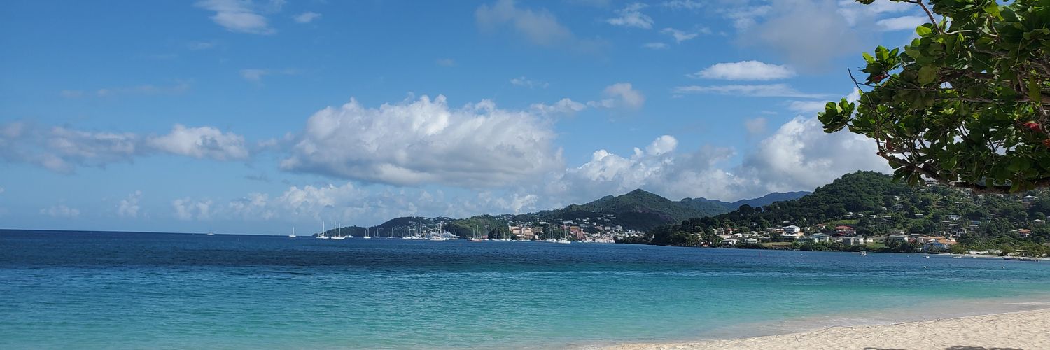 sweetTrini35's profile banner image