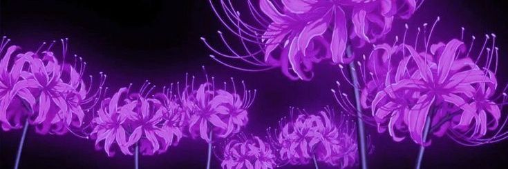 Dynamicto Blaze banner