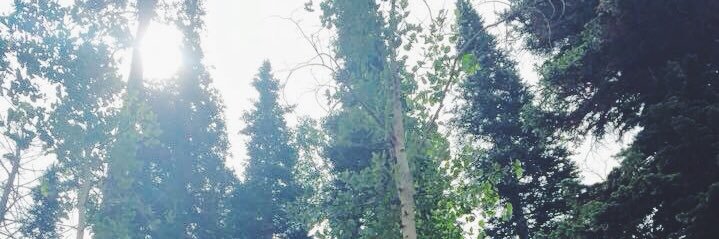 KennaMaycock's profile banner image