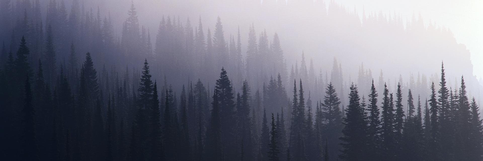 Jesus_mty12's profile banner image