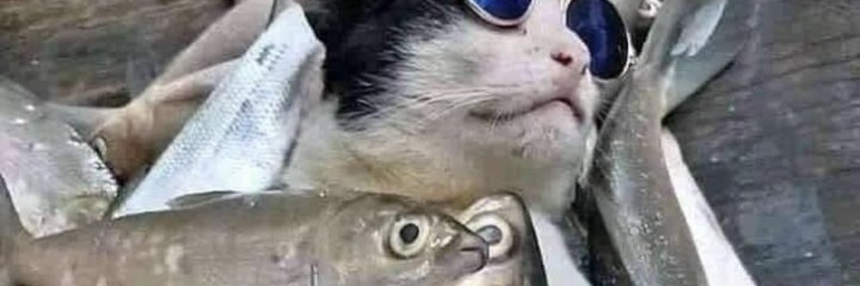 sam__dimitri's profile banner image