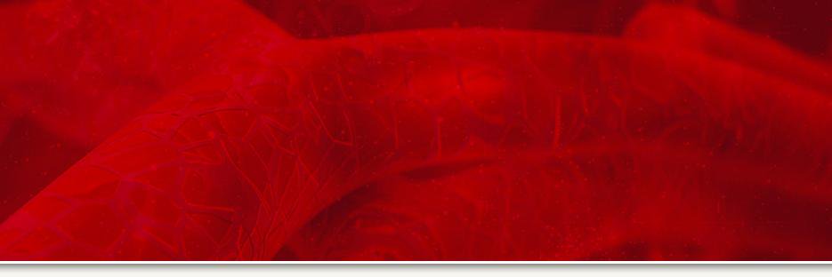 Chirurgie Vasculaire's banner