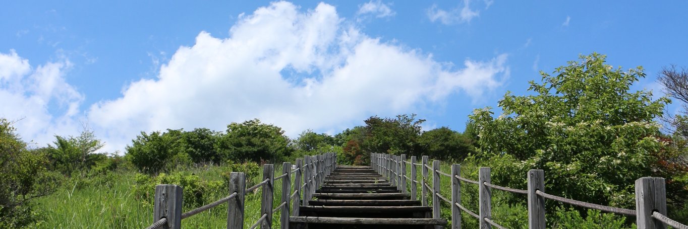 koseda0136's profile banner image