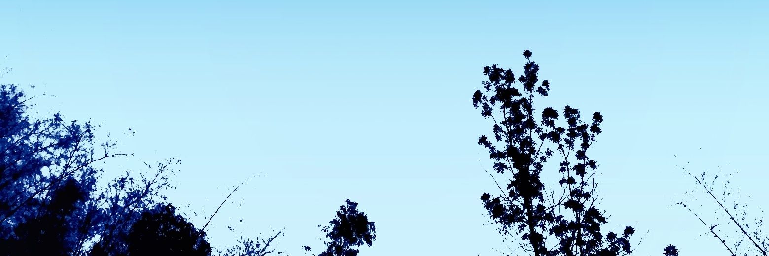 meisminee's profile banner image