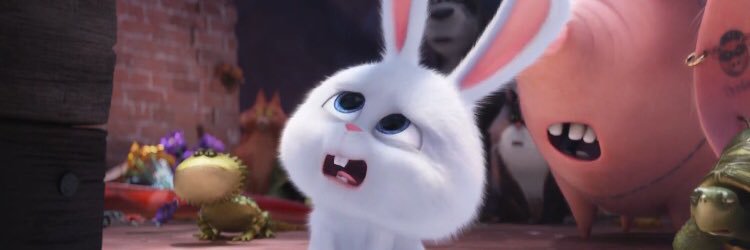 pigusxo's profile banner image
