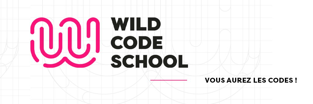 Wild Code School banner