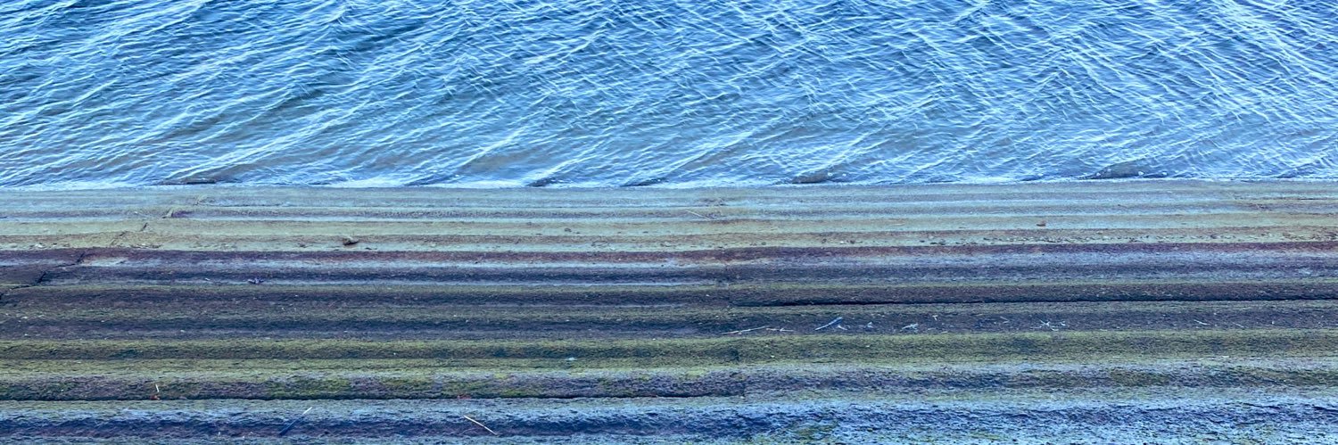 なおっち🐣 banner