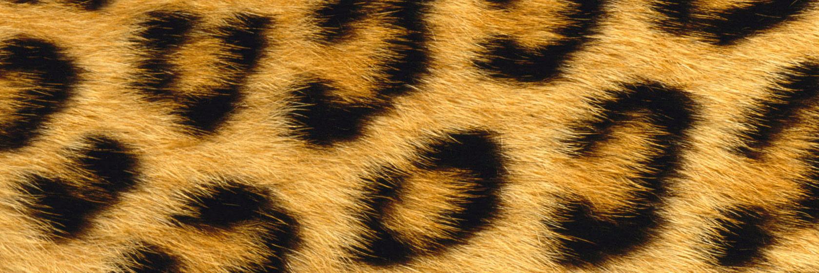 GustosChicas's profile banner image