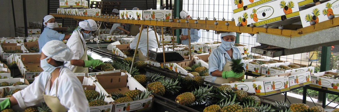 PostHarvestNetwork banner