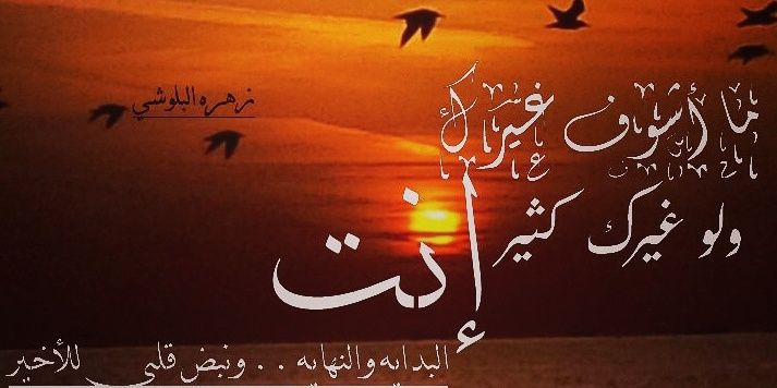 AlbaloshZ's profile banner image